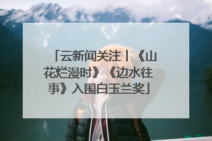 云新闻关注丨《山花烂漫时》《边水往事》入围白玉兰奖