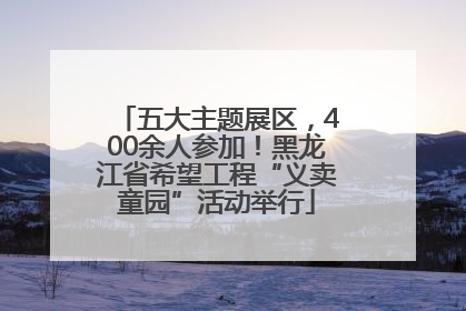 五大主题展区，400余人参加！黑龙江省希望工程“义卖童园”活动举行