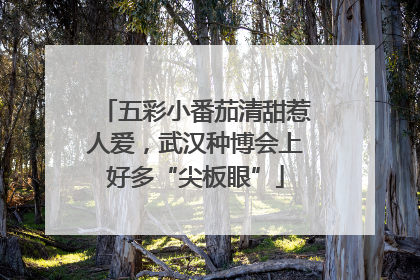 五彩小番茄清甜惹人爱，武汉种博会上好多“尖板眼”
