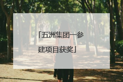 五洲集团一参建项目获奖