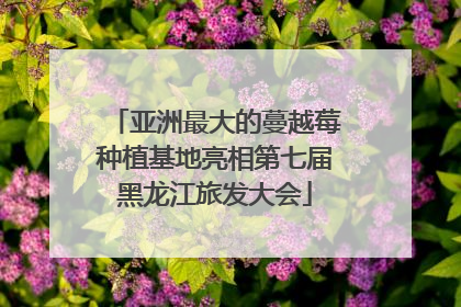 亚洲最大的蔓越莓种植基地亮相第七届黑龙江旅发大会