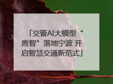 交管AI大模型“鹰智”落地宁波 开启智慧交通新范式