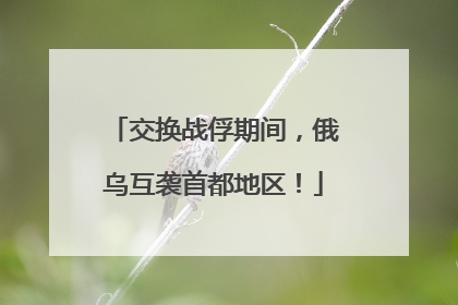交换战俘期间，俄乌互袭首都地区！