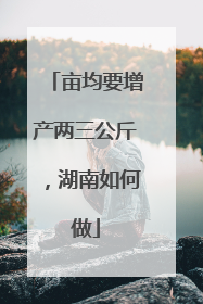 亩均要增产两三公斤，湖南如何做