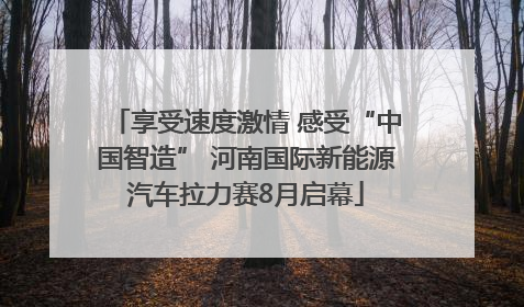享受速度激情 感受“中国智造” 河南国际新能源汽车拉力赛8月启幕