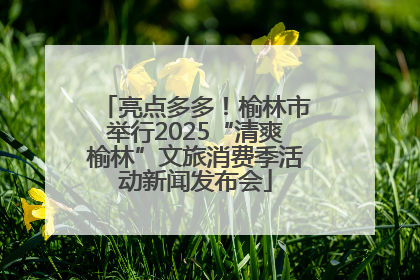 亮点多多！榆林市举行2025“清爽榆林”文旅消费季活动新闻发布会