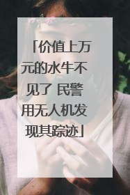 价值上万元的水牛不见了 民警用无人机发现其踪迹