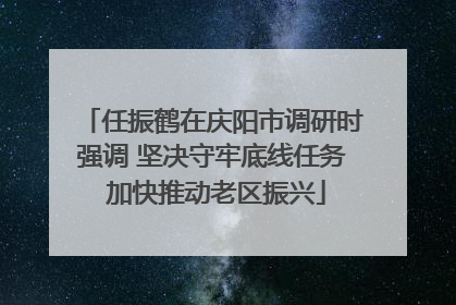任振鹤在庆阳市调研时强调 坚决守牢底线任务 加快推动老区振兴