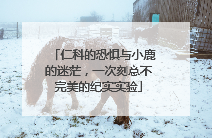仁科的恐惧与小鹿的迷茫，一次刻意不完美的纪实实验