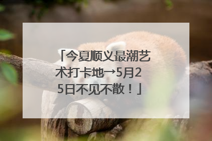 今夏顺义最潮艺术打卡地→5月25日不见不散！