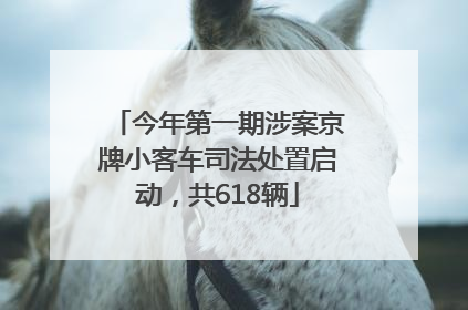 今年第一期涉案京牌小客车司法处置启动，共618辆