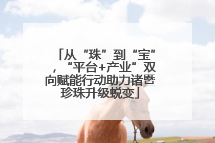 从“珠”到“宝”，“平台+产业”双向赋能行动助力诸暨珍珠升级蜕变