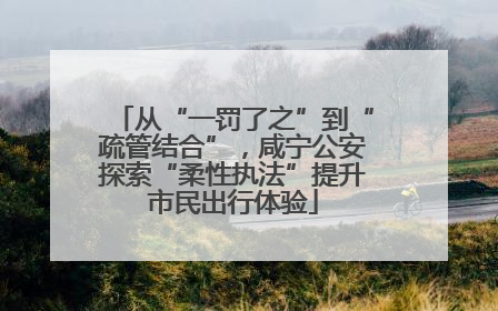 从“一罚了之”到“疏管结合”，咸宁公安探索“柔性执法”提升市民出行体验