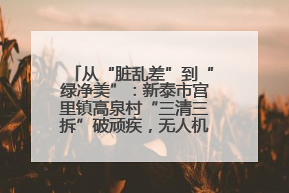 从“脏乱差”到“绿净美”:新泰市宫里镇高泉村“三清三拆”破顽疾,无人机“天眼”护新颜