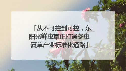 从不可控到可控，东阳光鲜虫草正打通冬虫夏草产业标准化通路