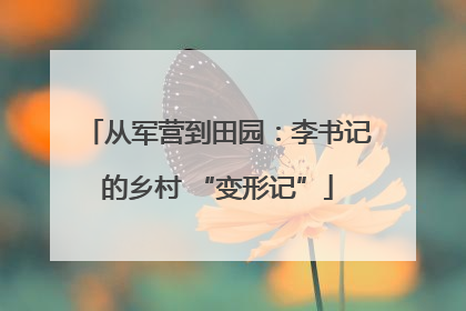 从军营到田园：李书记的乡村 “变形记”