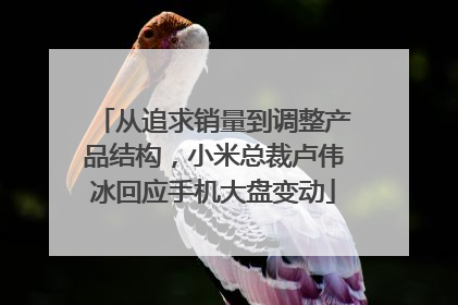 从追求销量到调整产品结构，小米总裁卢伟冰回应手机大盘变动