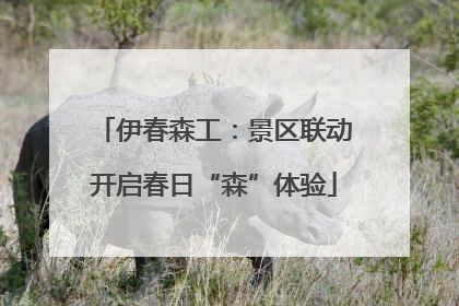 伊春森工：景区联动开启春日“森”体验