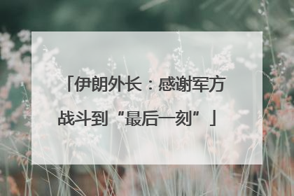 伊朗外长：感谢军方战斗到“最后一刻”