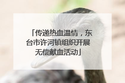 传递热血温情，东台市许河镇组织开展无偿献血活动