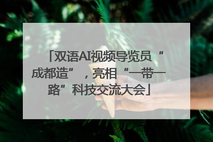 双语AI视频导览员“成都造”，亮相“一带一路”科技交流大会