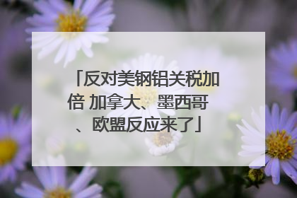 反对美钢铝关税加倍 加拿大、墨西哥、欧盟反应来了
