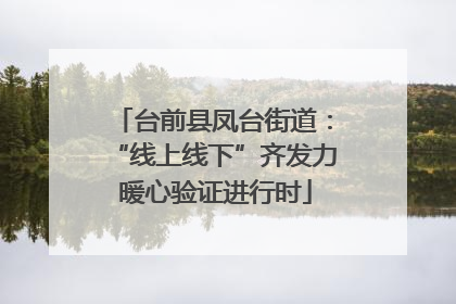 台前县凤台街道：“线上线下”齐发力 暖心验证进行时