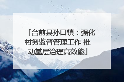 台前县孙口镇：强化村务监督管理工作 推动基层治理高效能