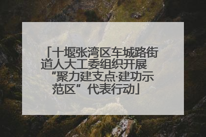 十堰张湾区车城路街道人大工委组织开展 “聚力建支点·建功示范区”代表行动