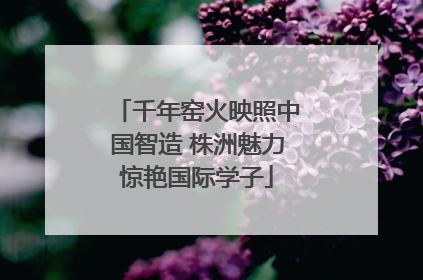 千年窑火映照中国智造 株洲魅力惊艳国际学子
