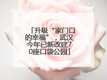升级“家门口的幸福”，武汉今年已新改建70座口袋公园