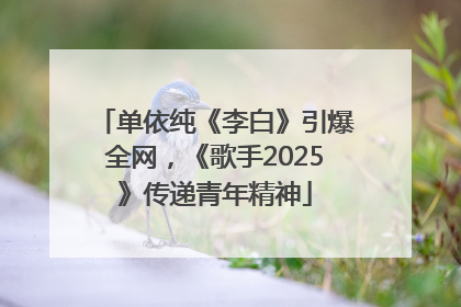 单依纯《李白》引爆全网，《歌手2025》传递青年精神