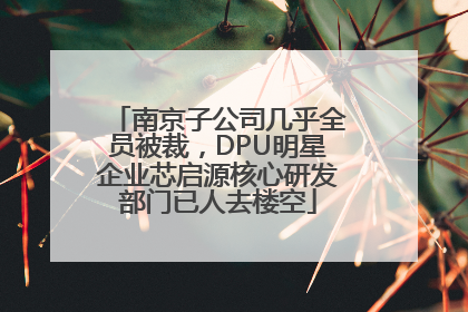 南京子公司几乎全员被裁，DPU明星企业芯启源核心研发部门已人去楼空