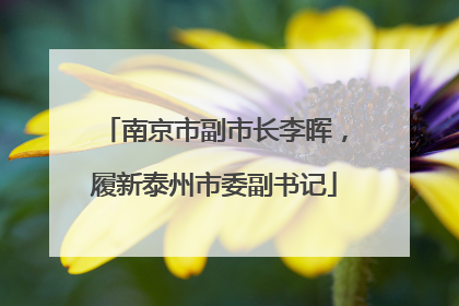 南京市副市长李晖，履新泰州市委副书记