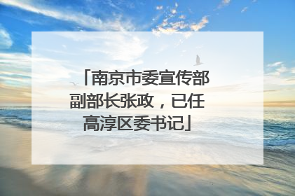 南京市委宣传部副部长张政，已任高淳区委书记