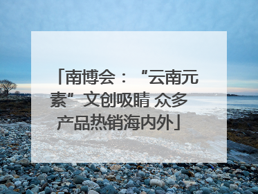 南博会：“云南元素”文创吸睛 众多产品热销海内外