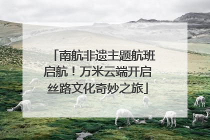 南航非遗主题航班启航！万米云端开启丝路文化奇妙之旅