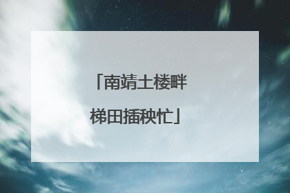 南靖土楼畔 梯田插秧忙