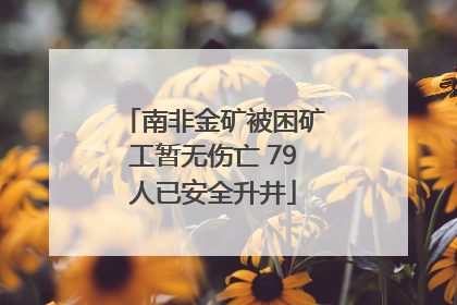 南非金矿被困矿工暂无伤亡 79人已安全升井