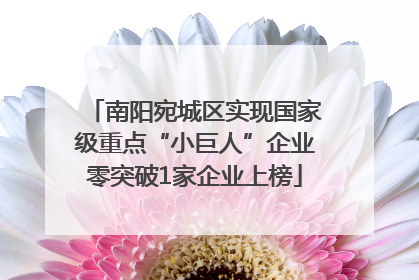 南阳宛城区实现国家级重点“小巨人”企业零突破1家企业上榜