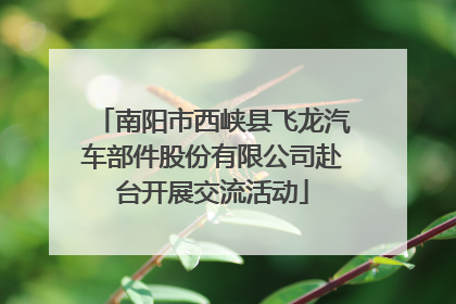 南阳市西峡县飞龙汽车部件股份有限公司赴台开展交流活动