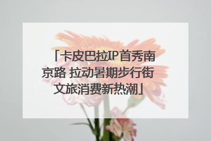 卡皮巴拉IP首秀南京路 拉动暑期步行街文旅消费新热潮