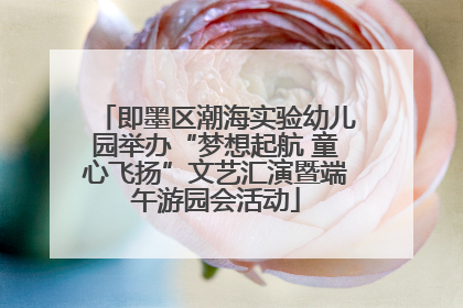 即墨区潮海实验幼儿园举办“梦想起航 童心飞扬”文艺汇演暨端午游园会活动