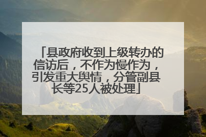 县政府收到上级转办的信访后，不作为慢作为，引发重大舆情，分管副县长等25人被处理