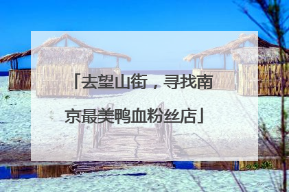 去望山街，寻找南京最美鸭血粉丝店