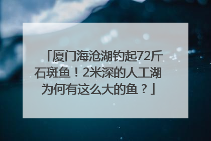 厦门海沧湖钓起72斤石斑鱼！2米深的人工湖为何有这么大的鱼？