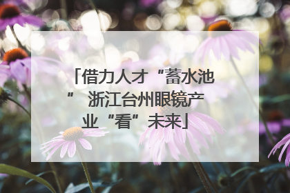 借力人才“蓄水池” 浙江台州眼镜产业“看”未来