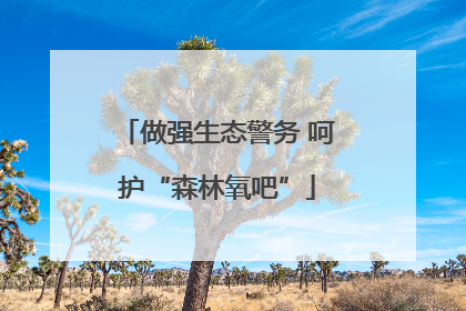 做强生态警务 呵护“森林氧吧”