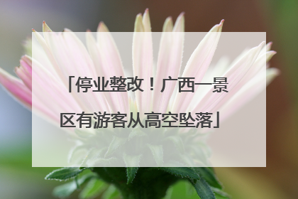 停业整改！广西一景区有游客从高空坠落