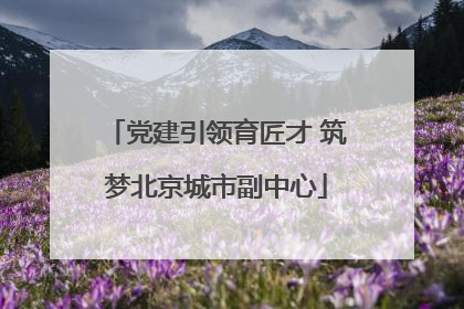 党建引领育匠才 筑梦北京城市副中心